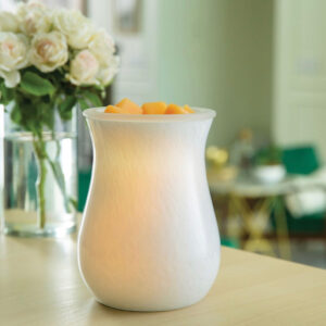100% Soy Wax Melt