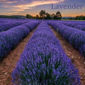 Lavender and Sage Soap